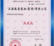 平頂山企業(yè)信用評(píng)級(jí) 信用等級(jí)評(píng)估與服務(wù)價(jià)值解析